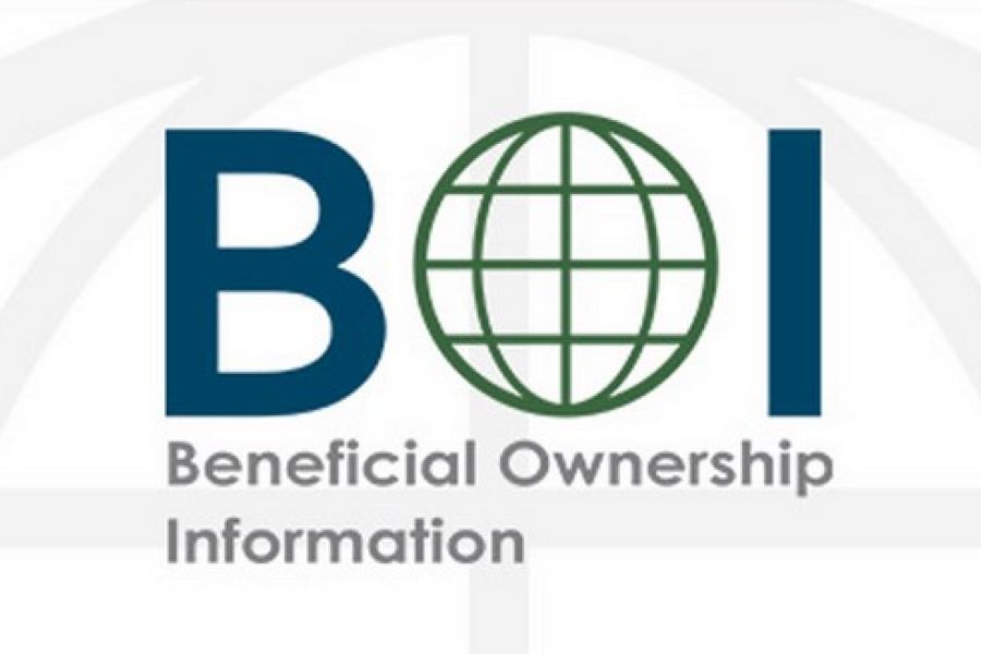 To File or Not to File: Navigating Beneficial Ownership Information Reporting after the Texas Injunction